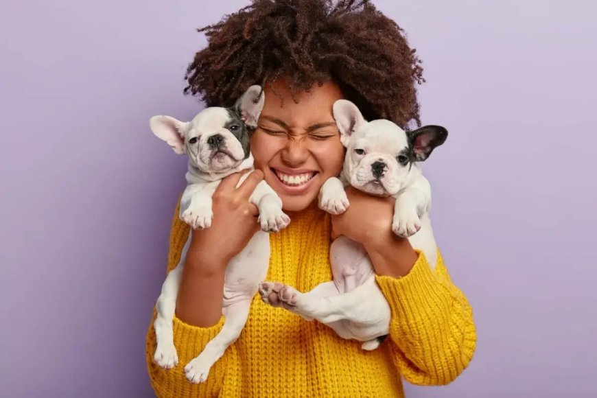 Maximizing your reach with marketing strategies